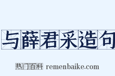 与薛君采造句是什么意思的图片
